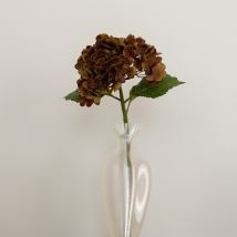 1V0A0654.jpg