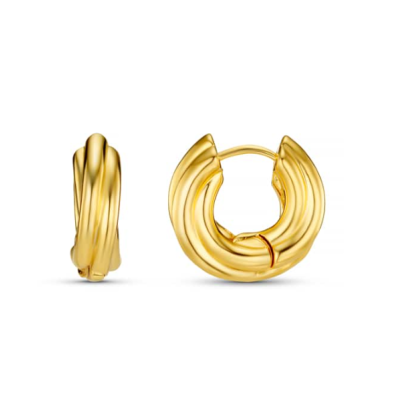 Chubby Intertwined Hoop Earrings 