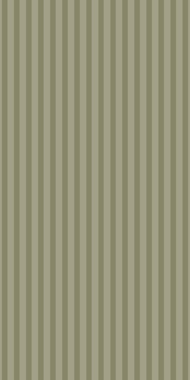 Servietter Grønne Striper 10x20 cm - 16 stk per pakke