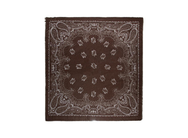 Skjerf Paisley Brun - Image 2