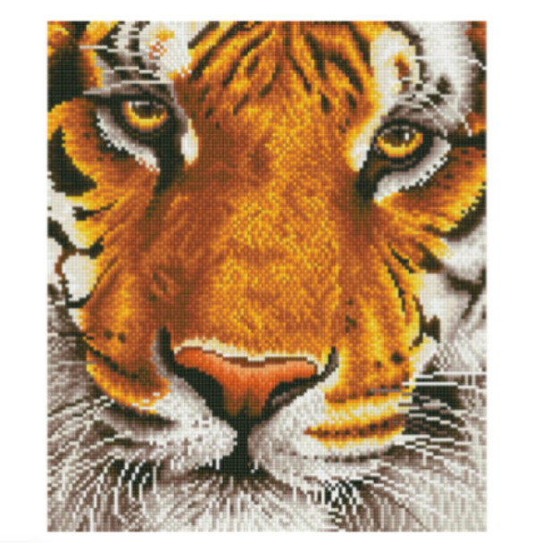 Diamond Dotz DD8 – Bengal Magic