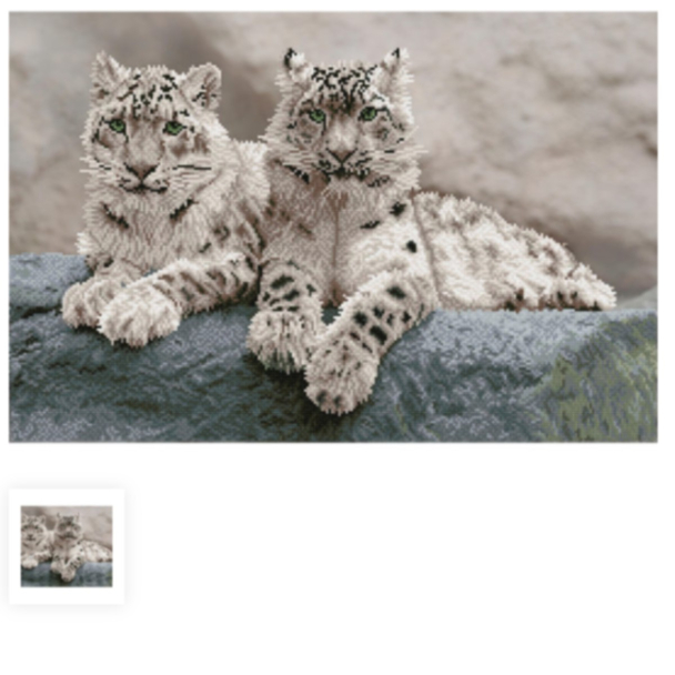 Diamond Dotz DD12 – Snow Leopards Hemis National Park