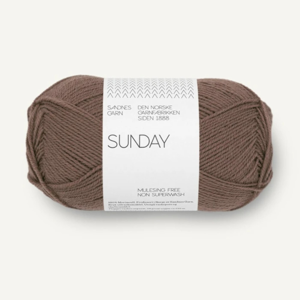 Sunday - 3161 - Acorn