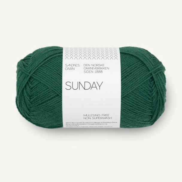Sunday - 7772 - Rain Forest