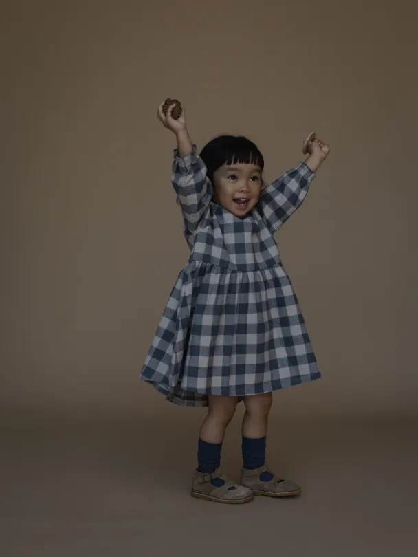 Fog Blue Gingham Field Dress - Image 4