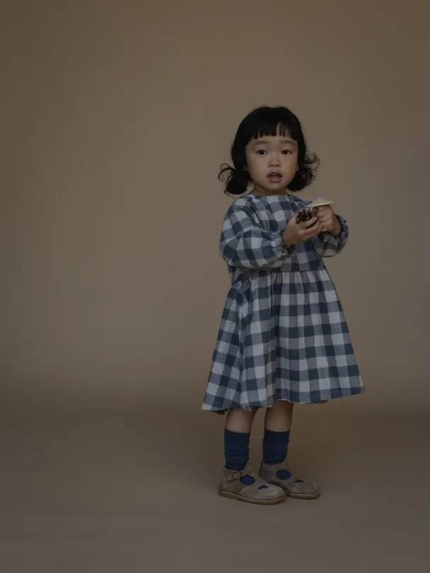 Fog Blue Gingham Field Dress - Image 5
