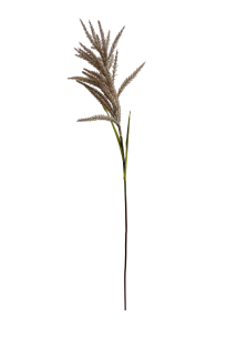 Skjermbilde 2026-10-01 kl. 11.10.36.png