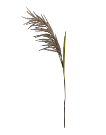 Skjermbilde 2026-10-01 kl. 11.30.02.png