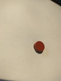 1000008260.jpg