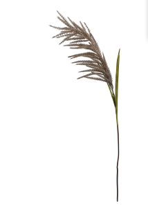 Skjermbilde 2026-10-01 kl. 14.36.48.png