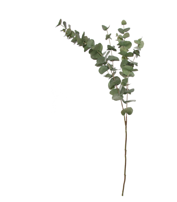 Eucalyptus - Green 100cm