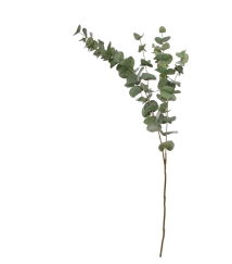 Skjermbilde 2026-10-01 kl. 14.39.05.png