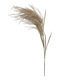 Skjermbilde 2026-10-01 kl. 15.35.15.png
