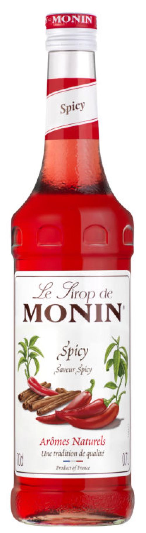 Monin SPICY SIRUP 70 cl