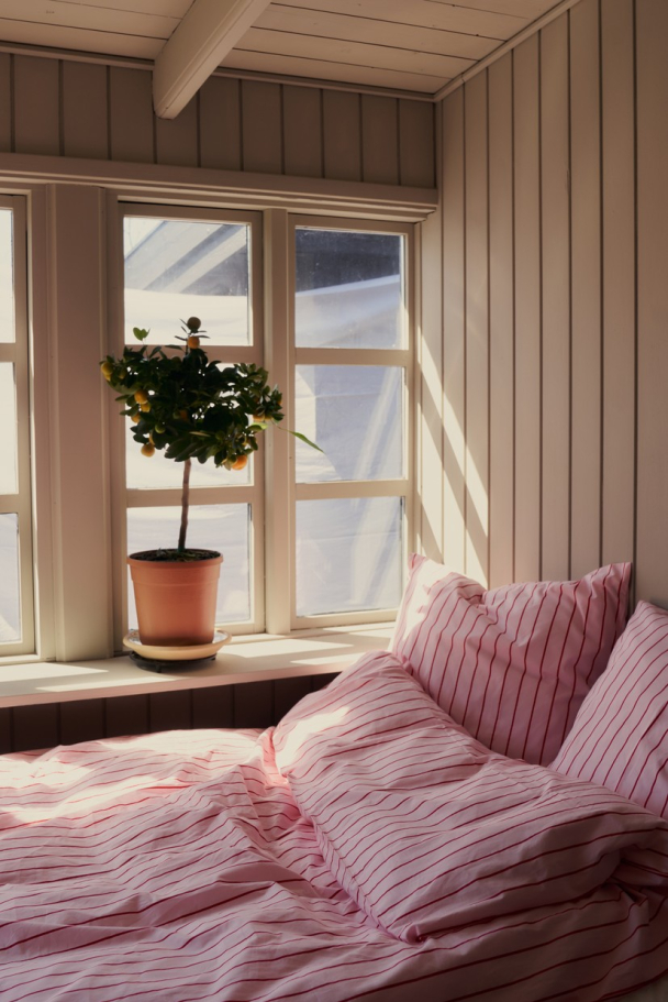 Percale Dynetrekk - Baby Pink & Ski Patrol 140 x 200 cm - Image 4