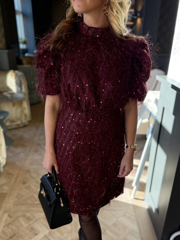  Ilza 2/4 Sequin Dress - Port Royale  - Image 1
