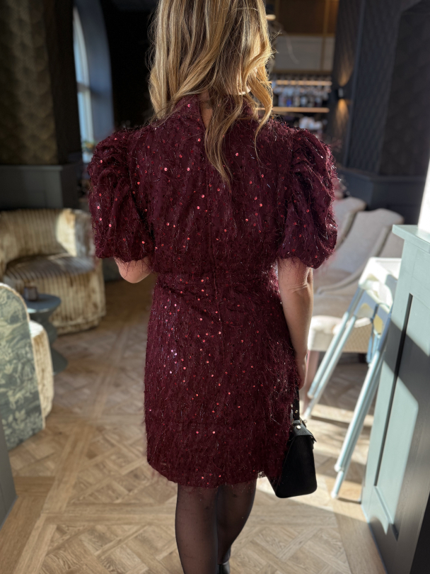  Ilza 2/4 Sequin Dress - Port Royale  - Image 4