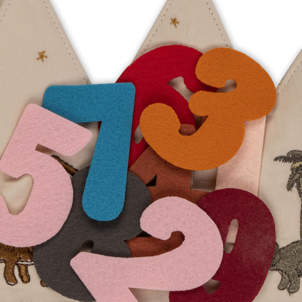 Birthday Crown - Dino  - Image 2