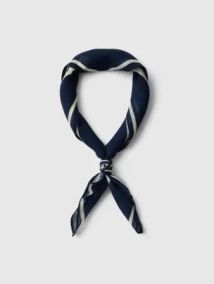 Selected Femme Ria Wool Scarf Dark Sapphire Stripes 1.jpg