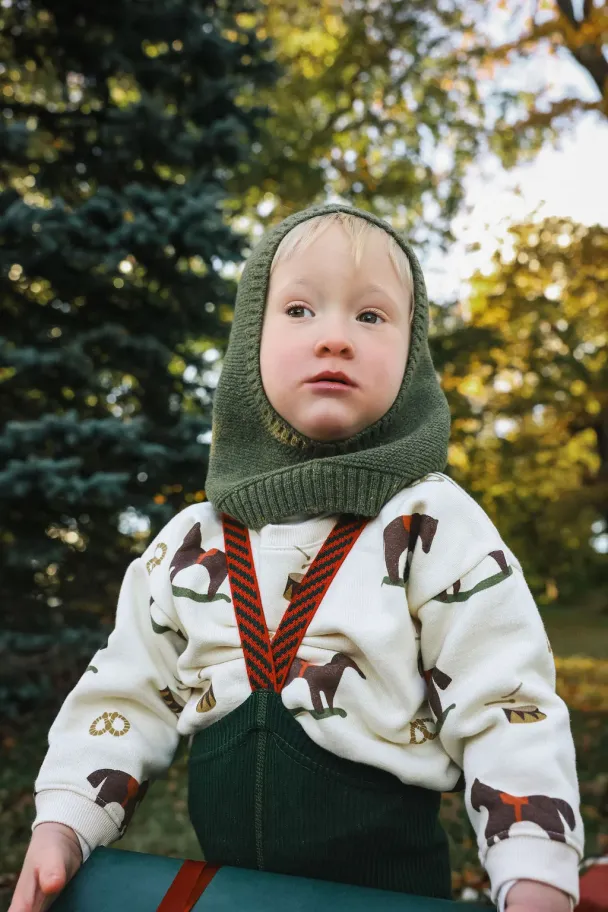 Rockinghorse Parade Sweatshirt - Image 5