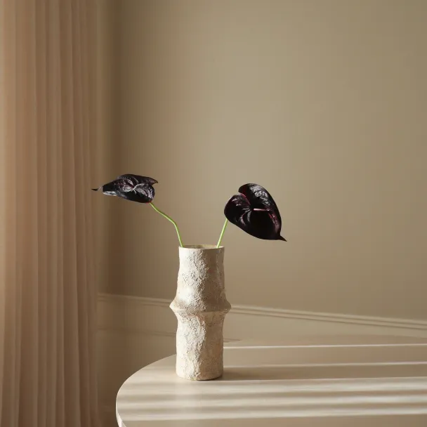 Sort Anthurium - Image 3