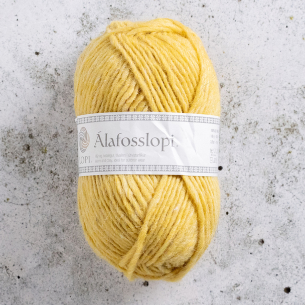 Alafosslopi - 2640 - Artic Poppy